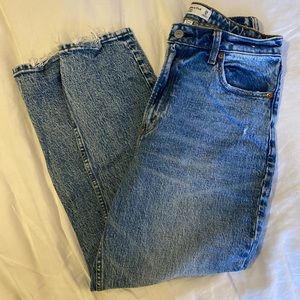 Abercrombie & Fitch Curve Love High Rise Mom Jeans